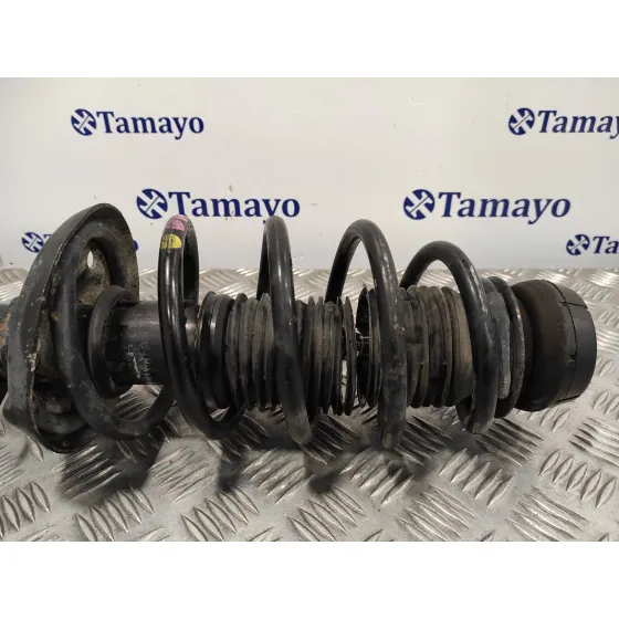 Amortiguador Delantero Izquierdo para Seat Toledo (1M2)