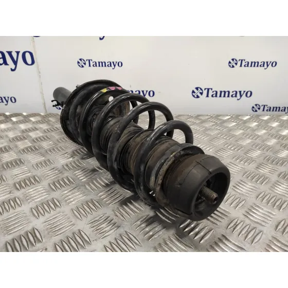 Amortiguador Delantero Izquierdo para Seat Toledo (1M2)