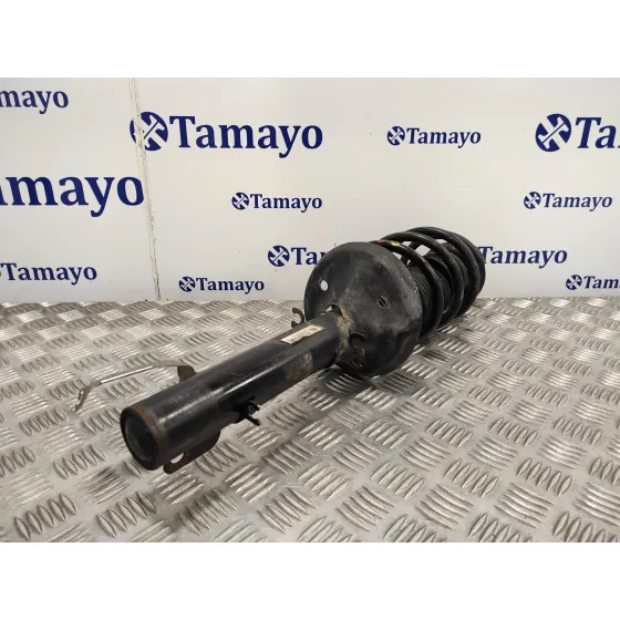 Amortiguador Delantero Izquierdo para Seat Toledo (1M2)