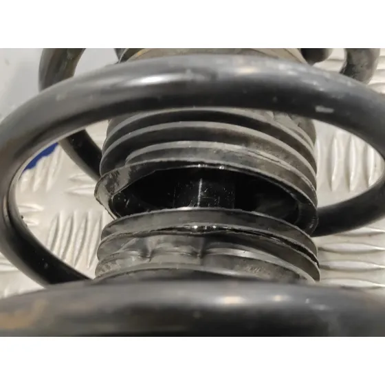 Amortiguador Delantero Izquierdo para Seat Toledo (1M2)