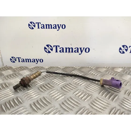 Sonda Lambda para Ford Fiesta (Cbk)