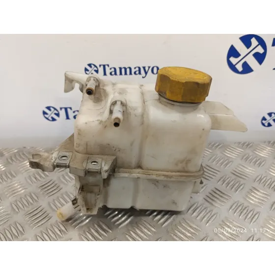 Deposito Expansion para Opel Antara