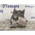 Soporte Motor para Opel Astra J Lim.