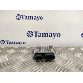 Modulo Electronico para Toyota Rav 4 V (_A5_, _H5_)