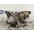 Motor Arranque para Toyota Yaris (Ncp1/Nlp1/Scp1)