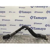 Tubo para Renault Megane Iii Berlina 5 P