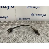 Sonda Lambda para Ford Focus Lim.