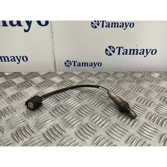Sonda Lambda para Ford Focus Lim.