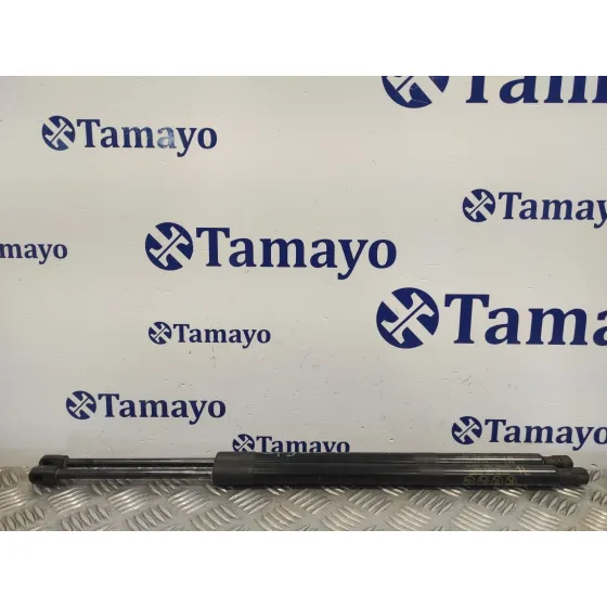 Amortiguadores Maletero / Porton para Toyota Rav 4 V (_A5_, _H5_)