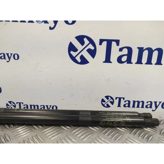 Amortiguadores Maletero / Porton para Toyota Rav 4 V (_A5_, _H5_)