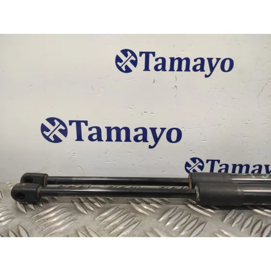 Amortiguadores Maletero / Porton para Toyota Rav 4 V (_A5_, _H5_)