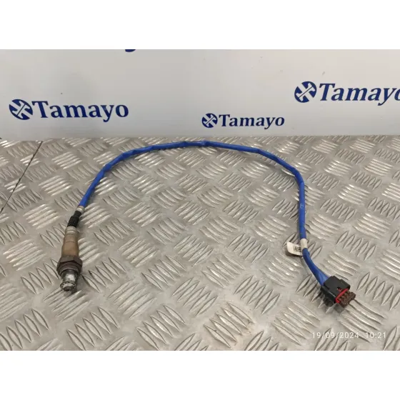Sonda Lambda para Ford Focus Lim.