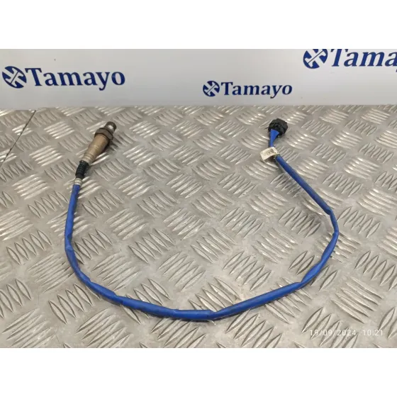 Sonda Lambda para Ford Focus Lim.