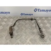 Sonda Lambda para Toyota Prius (Nhw30)