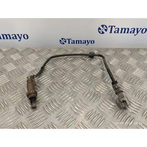 Sonda Lambda para Toyota Prius (Nhw30)