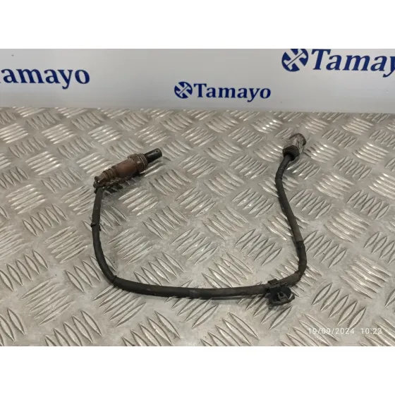 Sonda Lambda para Toyota Prius (Nhw30)