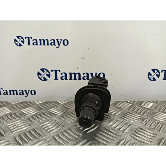 Mando Intermitentes para Renault Scenic (Ja..)