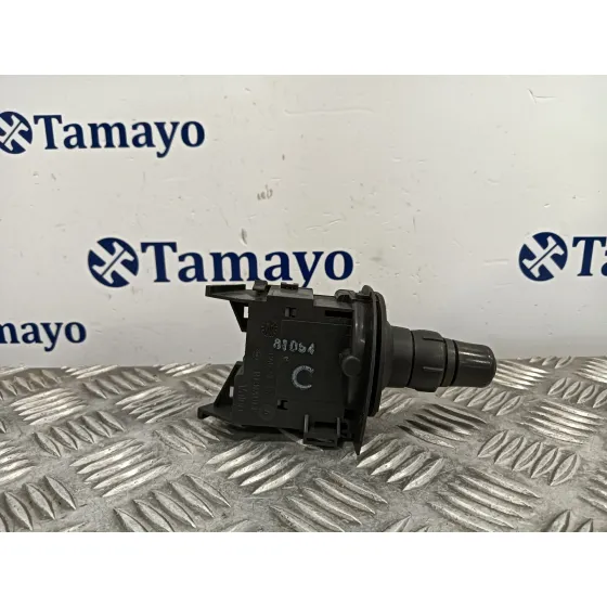 Mando Intermitentes para Renault Scenic (Ja..)