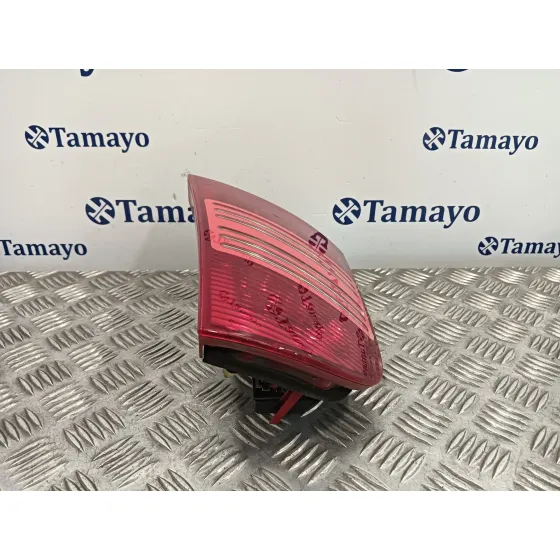 Piloto Trasero Izquierdo para Skoda Octavia Combi (1U5)