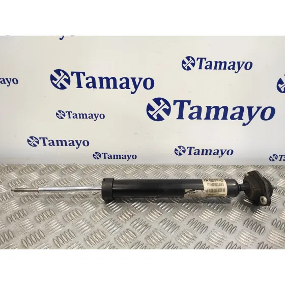 Amortiguador Trasero Izquierdo para Bmw Serie 3 Berlina (E90)