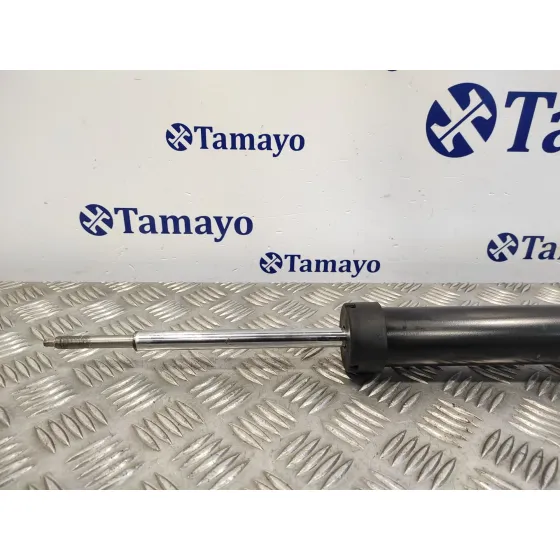 Amortiguador Trasero Izquierdo para Bmw Serie 3 Berlina (E90)