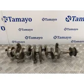 Ciguenal para Ford Fiesta (Cb1)