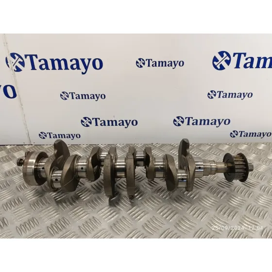 Ciguenal para Ford Fiesta (Cb1)