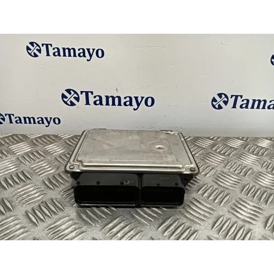 Centralita Motor Uce para Seat Leon (1P1)