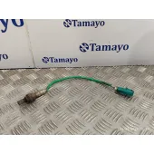 Sonda Lambda para Ford Focus Berlina (Cak)