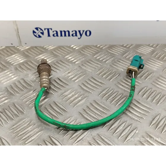 Sonda Lambda para Ford Focus Berlina (Cak)