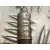 Sonda Lambda para Ford Focus Berlina (Cak)