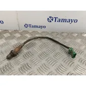 Sonda Lambda para Peugeot 307 Break / Sw (S1)