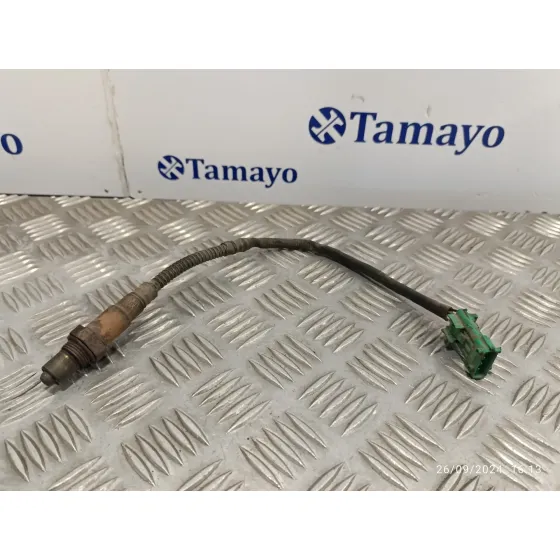 Sonda Lambda para Peugeot 307 Break / Sw (S1)