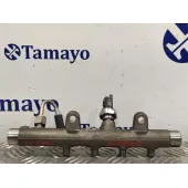 Rampa Inyectora para Renault Scenic Ii