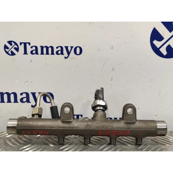 Rampa Inyectora para Renault Scenic Ii