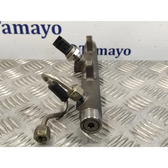 Rampa Inyectora para Renault Scenic Ii