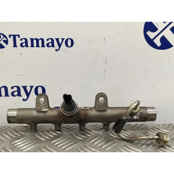 Rampa Inyectora para Renault Scenic Ii