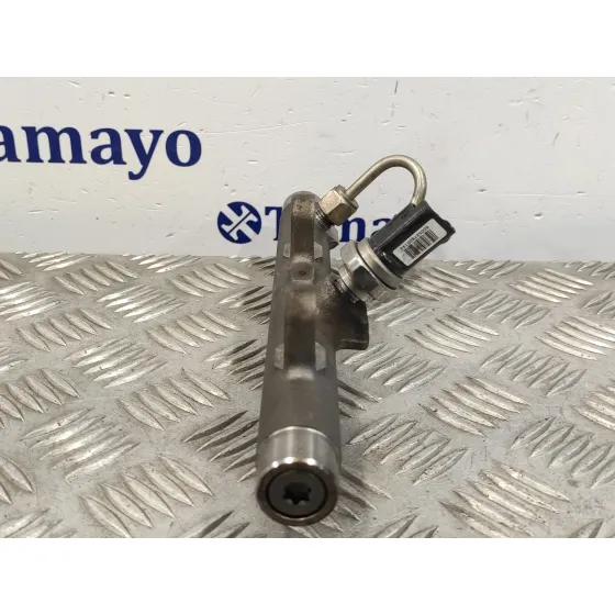 Rampa Inyectora para Renault Scenic Ii