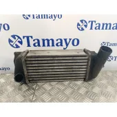 Intercooler para Toyota Auris (_E18_)