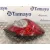 Piloto Trasero Derecho para Opel Antara