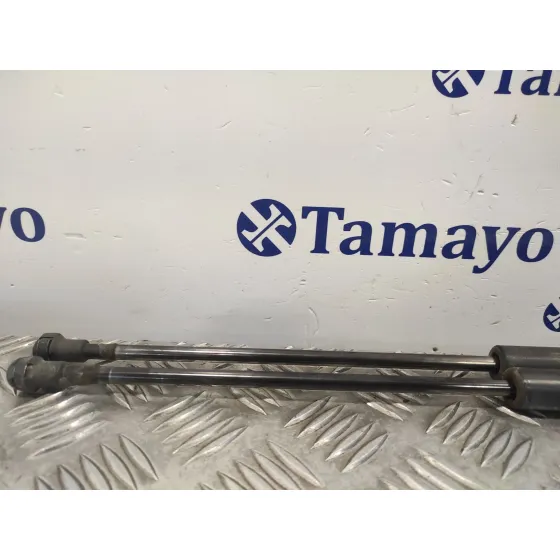 Amortiguadores Maletero / Porton para Bmw X3 (E83)