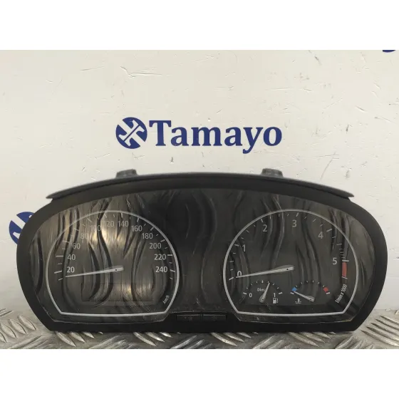 Cuadro Instrumentos para Bmw X3 (E83)