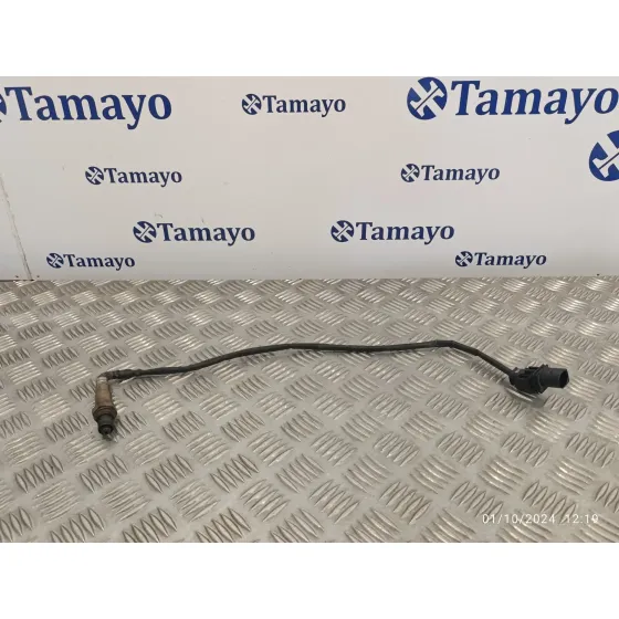 Sonda Lambda para Skoda Octavia Combi (1Z5)