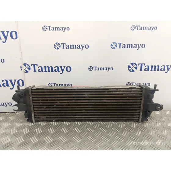 Intercooler para Renault Trafic Combi (Ab 4.01)