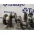 Ciguenal para Iveco Daily Pr