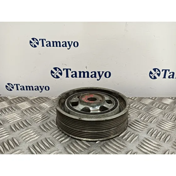 Polea Ciguenal para Iveco Daily Pr