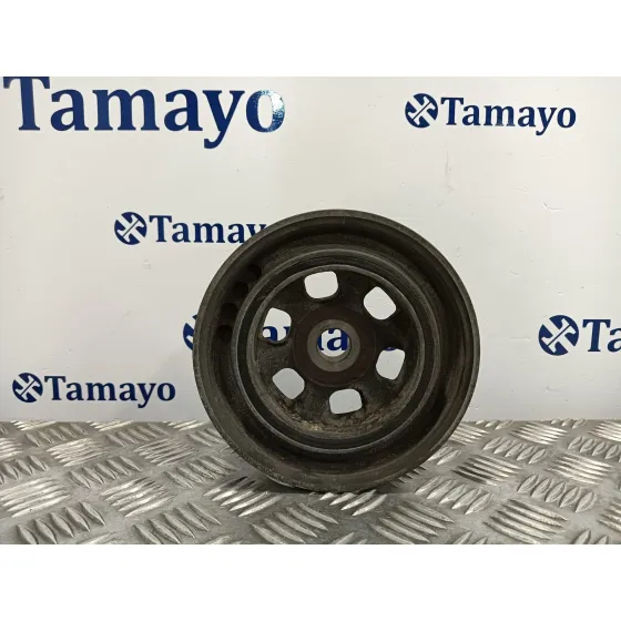 Polea Ciguenal para Iveco Daily Pr