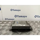 Centralita Motor Uce para Renault Megane Iii Berlina 5 P