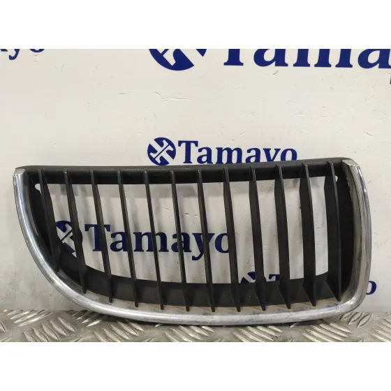 Rejilla Paragolpes Central para Bmw Serie 3 Touring (E91)