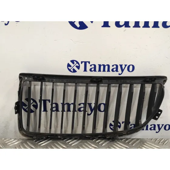 Rejilla Paragolpes Central para Bmw Serie 3 Touring (E91)
